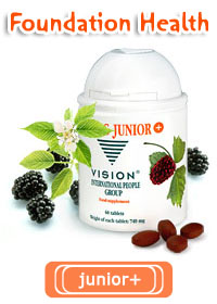 Lifepac Junior+ (Vision)
